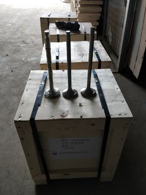 Настройка 118 кг W12V190.03.01 Впускной клапан для 500кВ природного газового генератора Шэндун