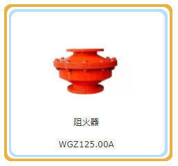 Wgz150.00A/Wgz110.00A/Wgz125.00A Предотвращение взрывов