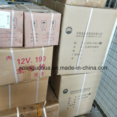 G12V190zldt1-2 Части генератора природного газа в Джинане Водный насос по нестандартным компонентам
