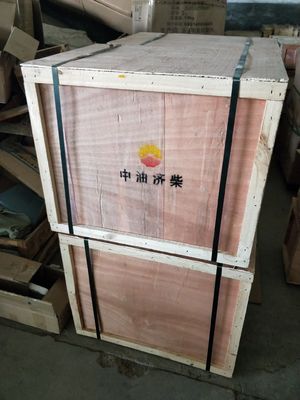 Z12V190bc10 Джинан Дизельные двигатели Части на заказ для ваших требований
