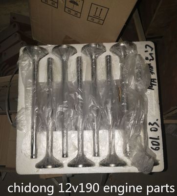 Co810f-3/22 G12V190zl-3 Джинан Дизельный двигатель Части 12V190 Стержень пистона по доступной цене
