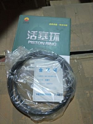 16V190 Части дизельных двигателей H16V190 Пистоновое кольцо для газового генератора модели 601.05.02A-Gj