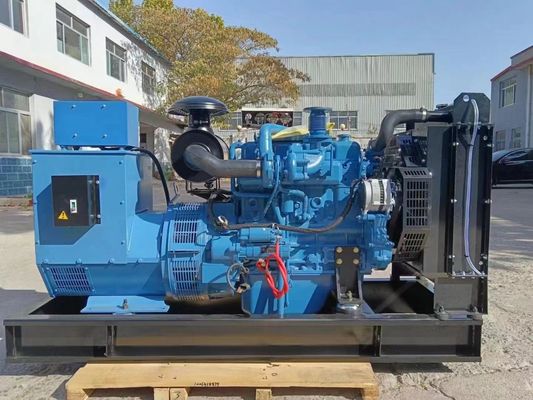 AC вращающийся возбудитель 50кВт Yuchai газовый генератор для домашнего хозяйства и в вашем выборе цвета