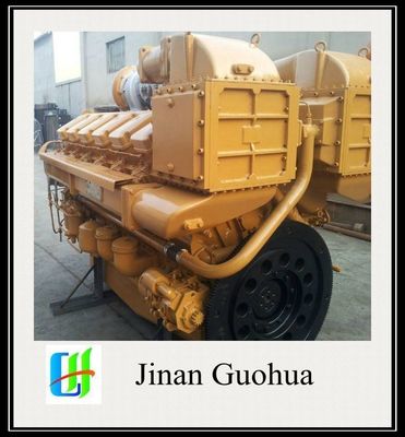 12V190 биогазовый генератор настройка на заказ