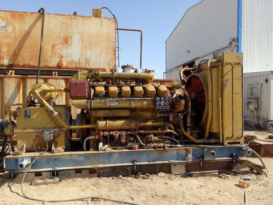 Электрогенератор биогаза мощностью 500 кВт для оборудования для преобразования отходов животных в энергию