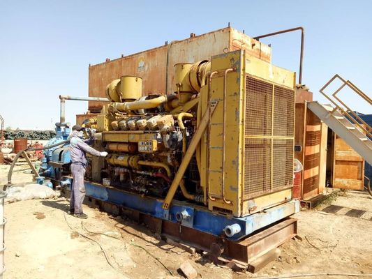 Электрогенератор биогаза мощностью 500 кВт для оборудования для преобразования отходов животных в энергию