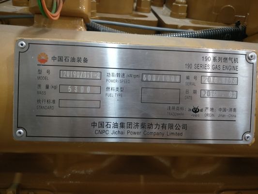 12V190zdt1-2 Джичаи природный газовый генератор двигатель настройка для ваших требований